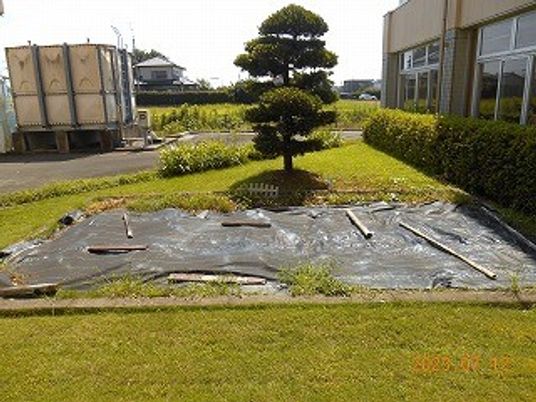中庭の植栽と花壇  