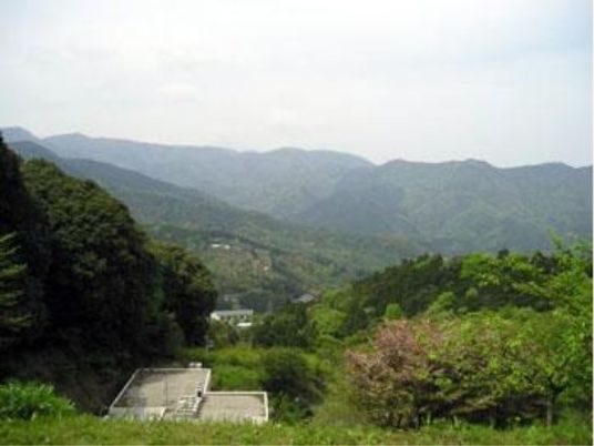 緑豊かな自然の風景