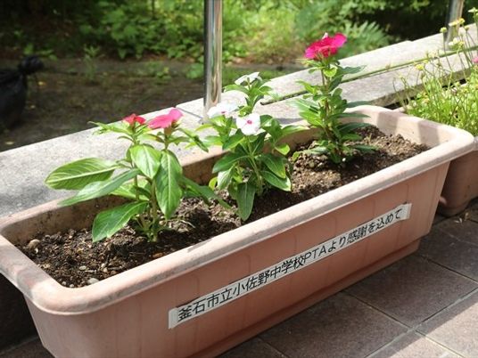 花のプランターのある庭  