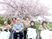 桜のある庭