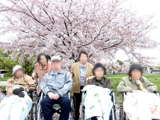 桜のある庭