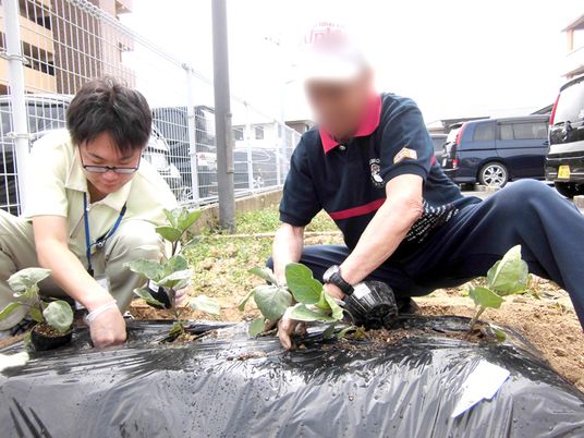野菜を植える庭