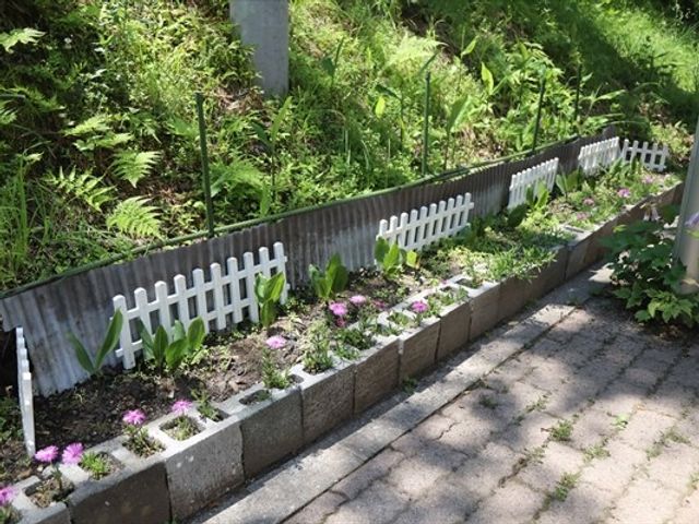 花壇のある庭 庭   小さな花壇が並ぶ明るい庭です。季節の草花を眺めながら、気持ちよく過ごせそうです。
