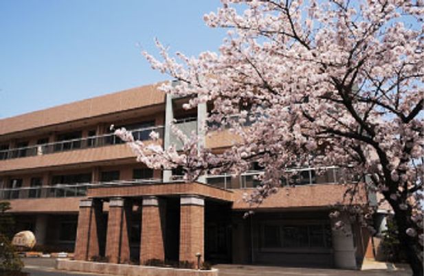 桜と建物の外観