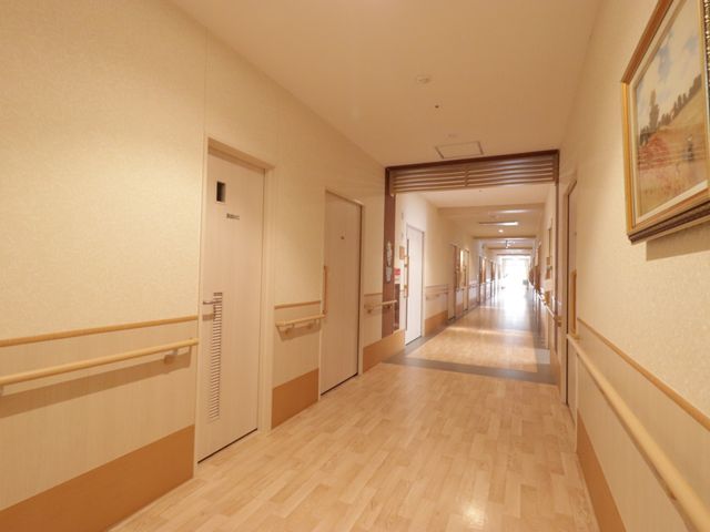 柔らかい光の廊下