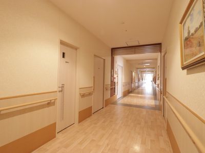 柔らかい光の廊下