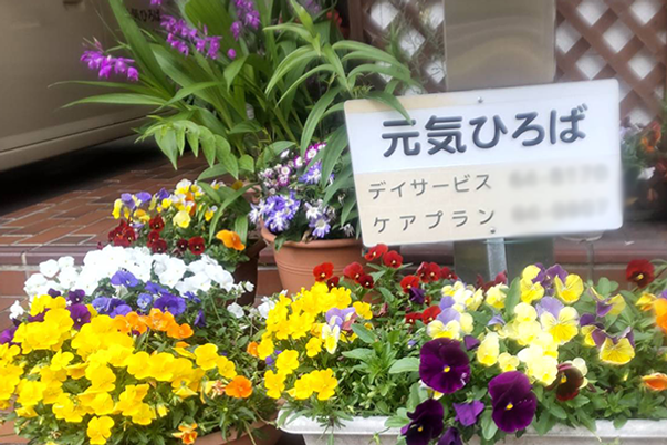 色とりどりの花壇