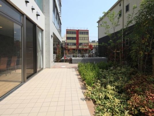 中庭の緑あふれる光景