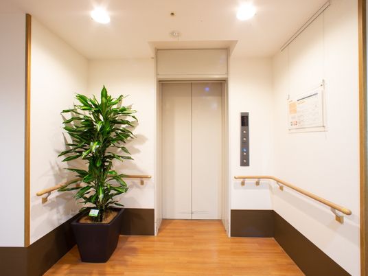 清潔感のある廊下の一角