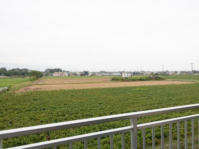 緑豊かな外の景色