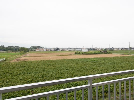 緑豊かな外の景色