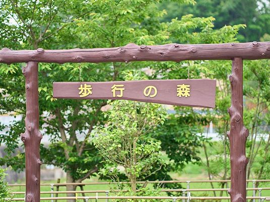 歩行の森の看板  