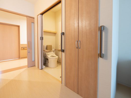 清潔なトイレの扉