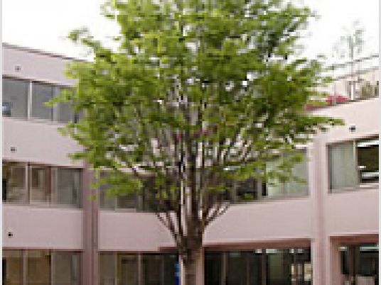 開放的な中庭