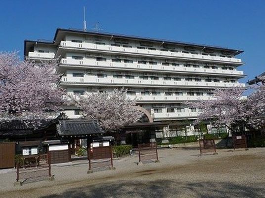 桜並木と建物の外観