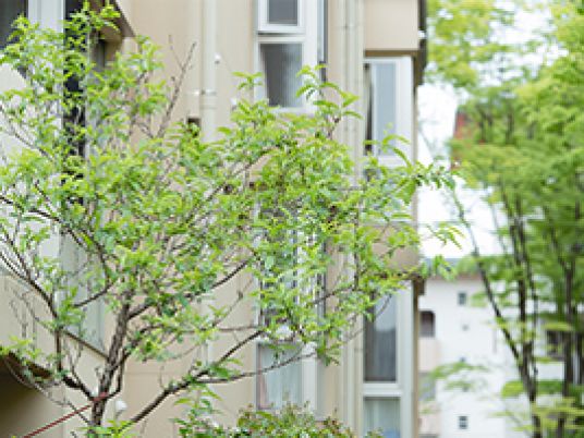 樹木がある外観