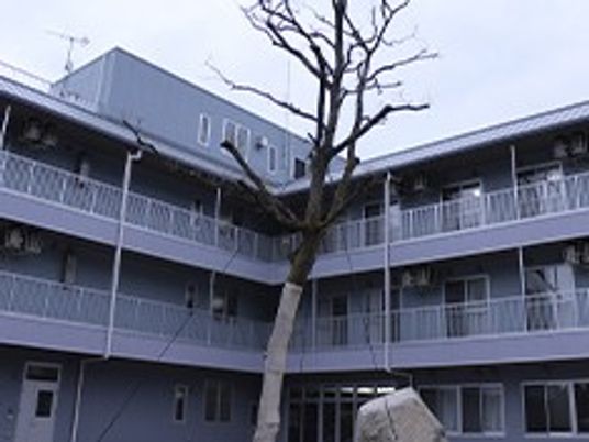 木のある外観エントランス