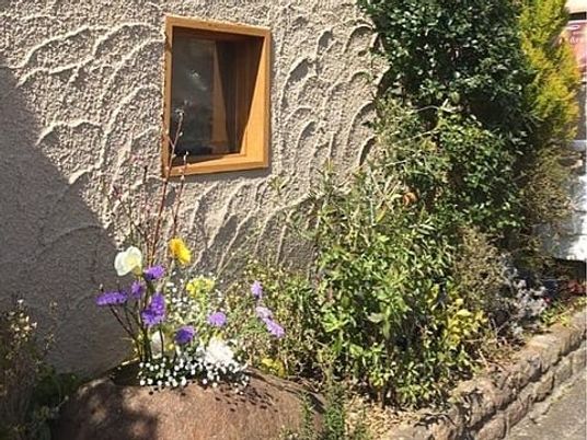 花と植栽の外観  