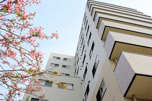 桜と建物の外観