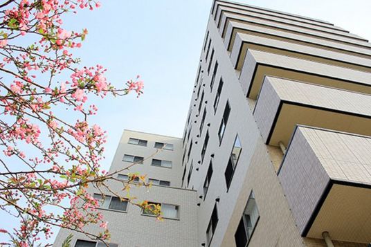 桜と建物の外観