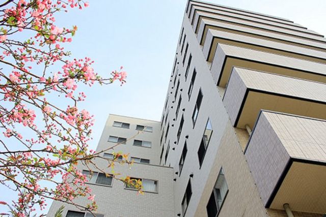 桜と建物の外観