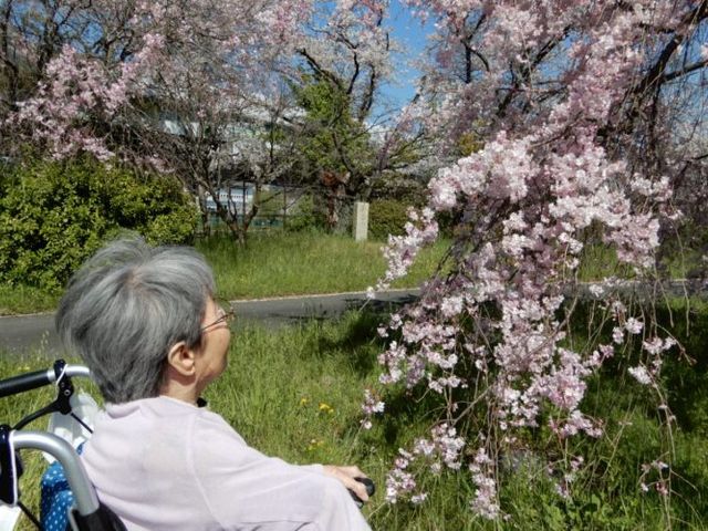 車椅子の方と桜の中庭 中庭 ゆったりとした中庭で桜を眺める利用者様。四季の移ろいを感じながら、安らぎのひと時を提供します。