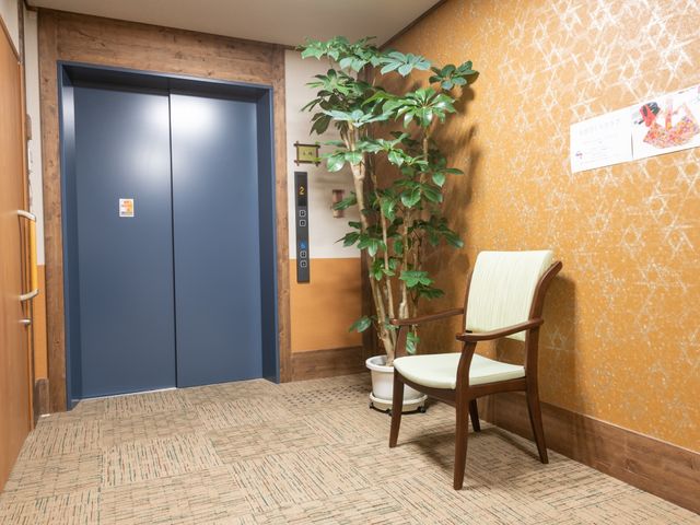 木目が温かい廊下のエレベーター エレベーターホール 植物が彩る落ち着いた廊下の様子です。訪れる方々に安らぎを提供し、働く快適さも大切にされています。