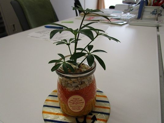 観葉植物のある机  