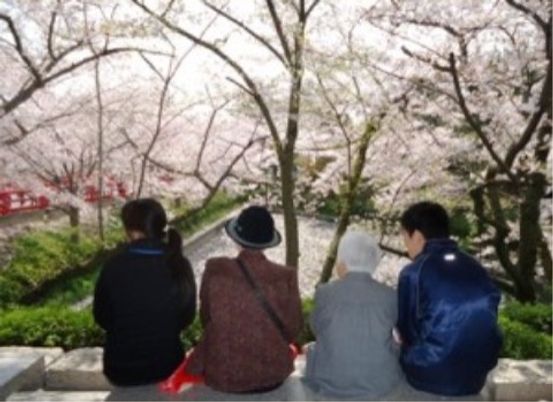 桜並木を見る人々