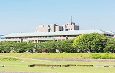 緑に囲まれた外観