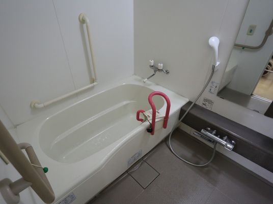 手すり付き浴槽の概観