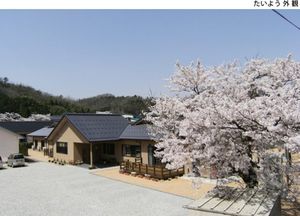 桜咲く建物外観