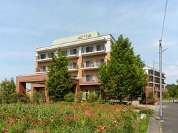 赤い花が咲く施設外観
