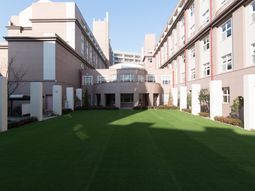 緑豊かな庭の施設