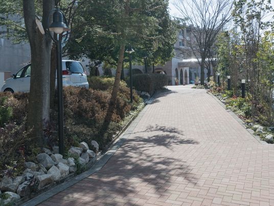 緑豊かな中庭通路