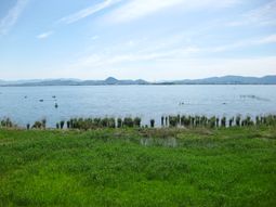 緑豊かな湖の風景