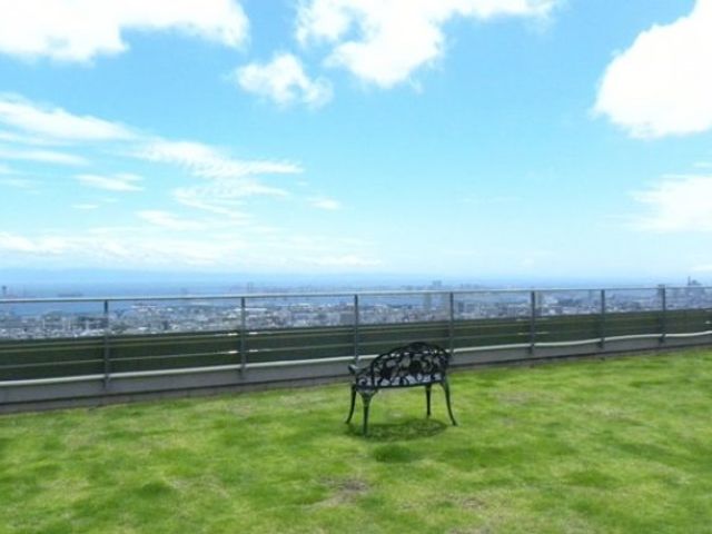 空が広がる庭園 庭 広々とした芝生の庭園で、開放感あふれる景色を楽しめます。リラックスできる空間になっています。