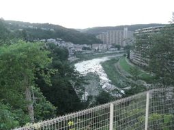 川沿いの景色
