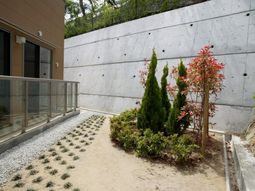 緑あふれる小道と外壁