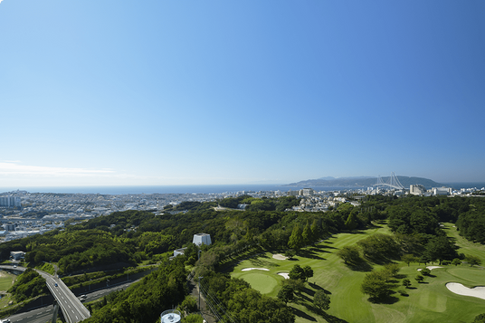 広々とした緑の景色