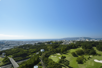 広々とした緑の景色