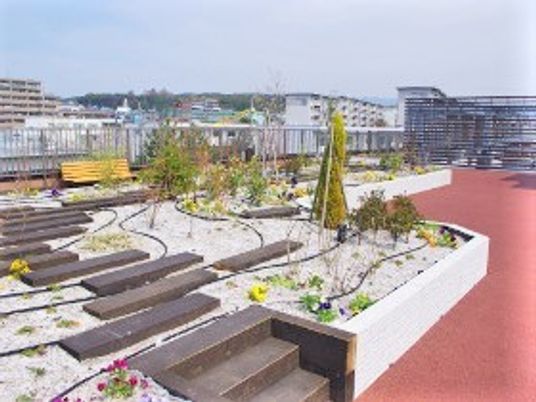 屋上の緑化スペース