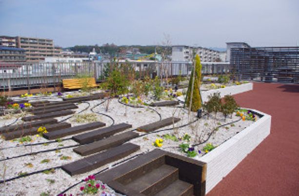 花々が咲く庭の景色