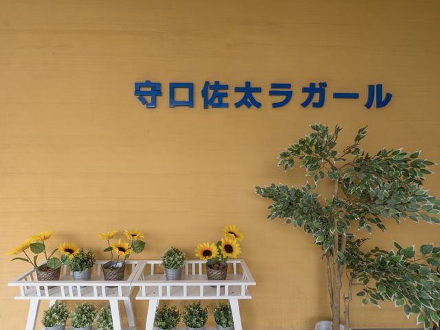 暖色の壁と植物の装飾 看板 ぬくもりを感じさせる壁に、明るい植物が彩りを加える心安らぐエントランスです。来訪者を温かく迎え入れる空間があります。