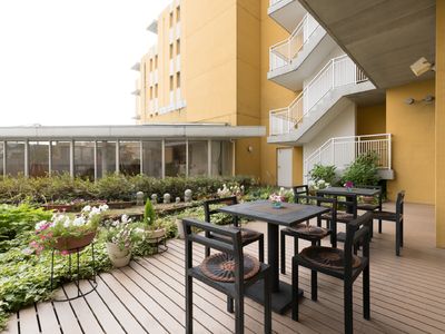 中庭のテーブルと植物