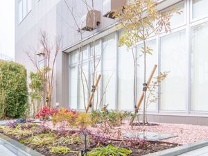 植栽が整う中庭です  