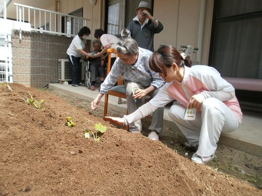 庭で植物を植える人々