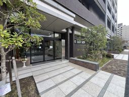 緑に囲まれた玄関