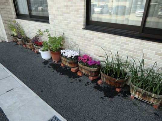 色とりどりの花が植えられた中庭