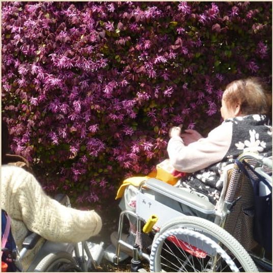 花を楽しむ二人